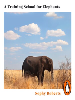 cover image of A Training School for Elephants